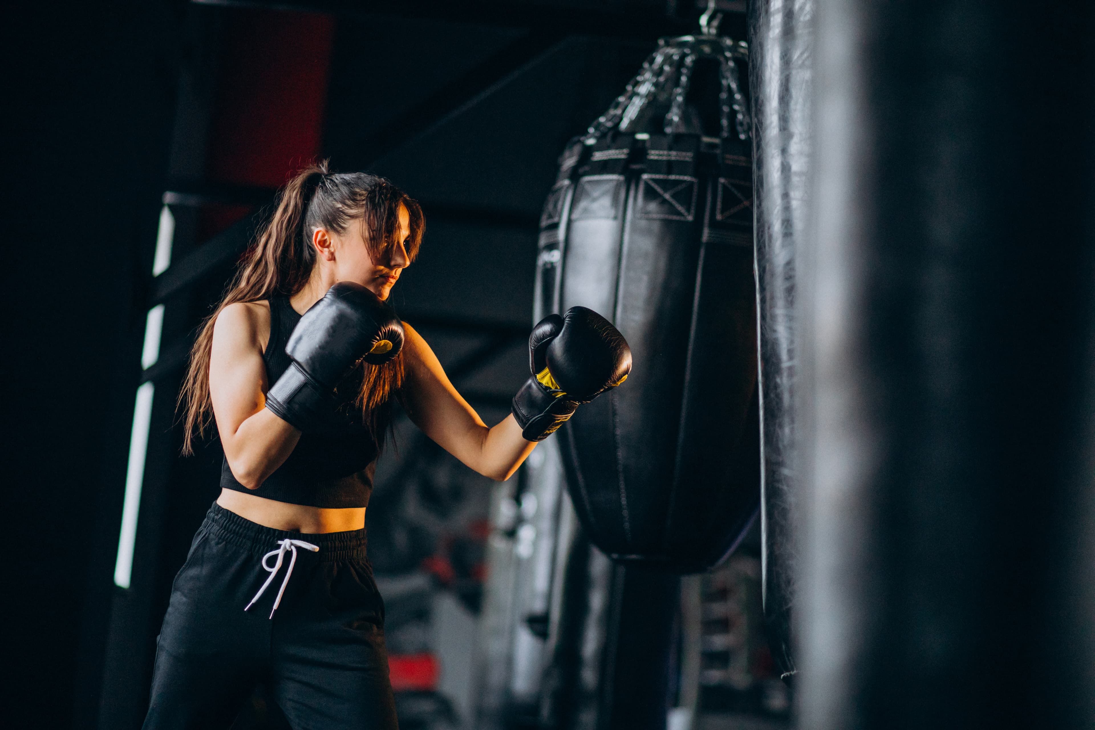 Boxer Training